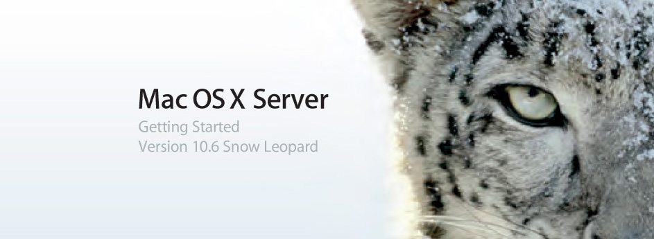 Snow Leopard Server Install Bug